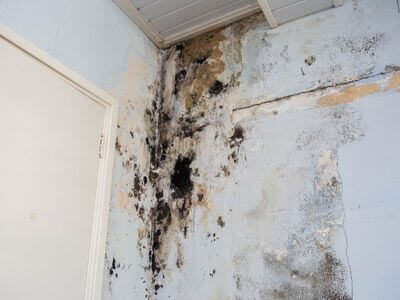 About Kingsport Water Damage Restoration - water damage restoration experts in Kingsport